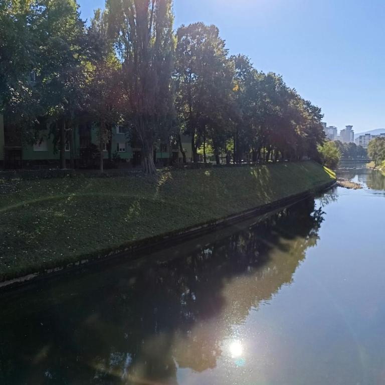 Dandelion - Apartman sa 2 Spavaće Sobe - 43