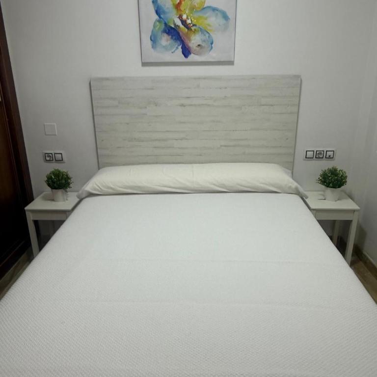 Benalmarina Apartment - Apartamento de 2 dormitorios - 29