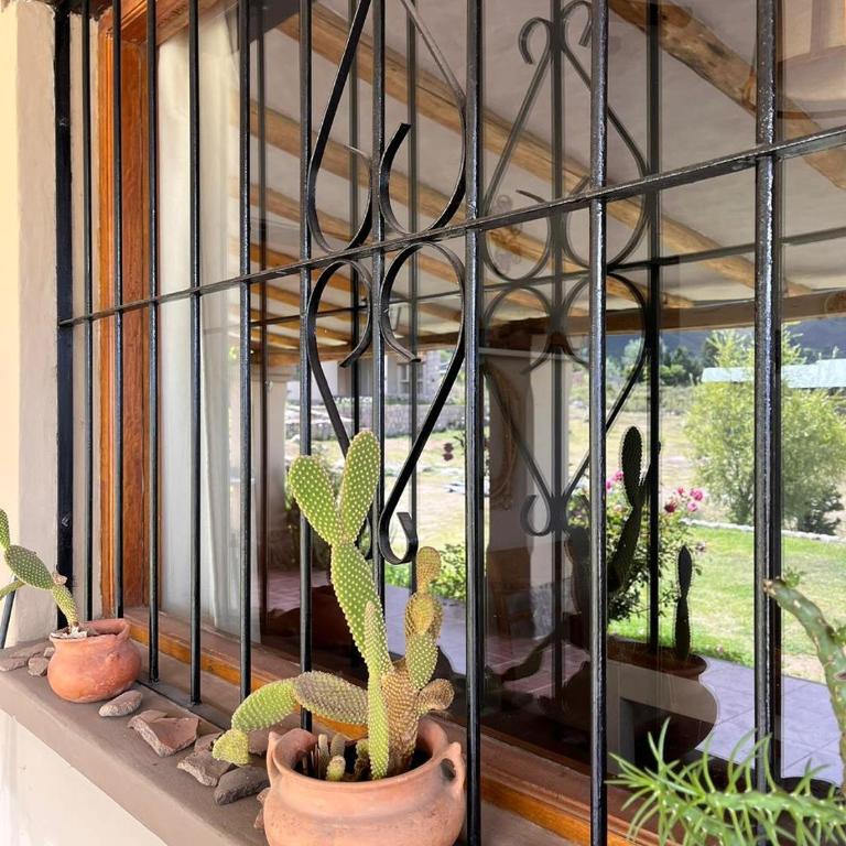 Casa Vida - Three-Bedroom House - 3