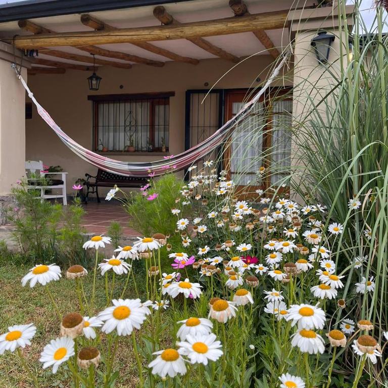 Casa Vida - Three-Bedroom House - 13