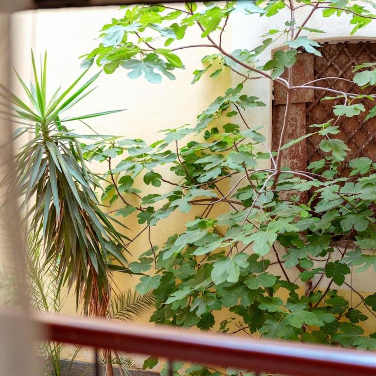 Monserrato House - Two-Bedroom Apartment - 23