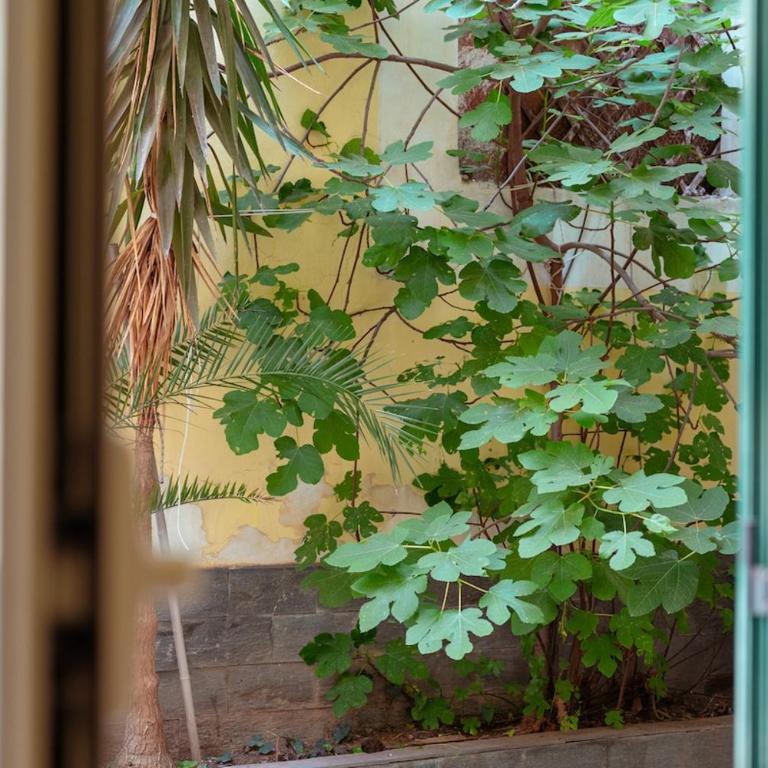 Monserrato House - Two-Bedroom Apartment - 50