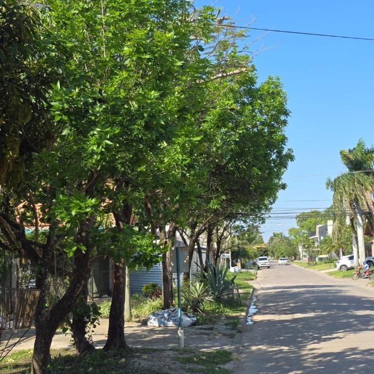 Cerca de la plaza principal a estrenar - One-Bedroom Apartment - 38