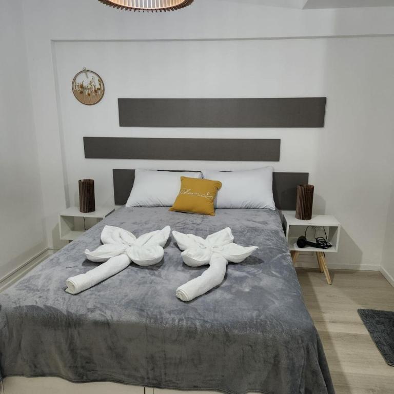 El Fenix Andino - Apartamento de 1 dormitorio - 4