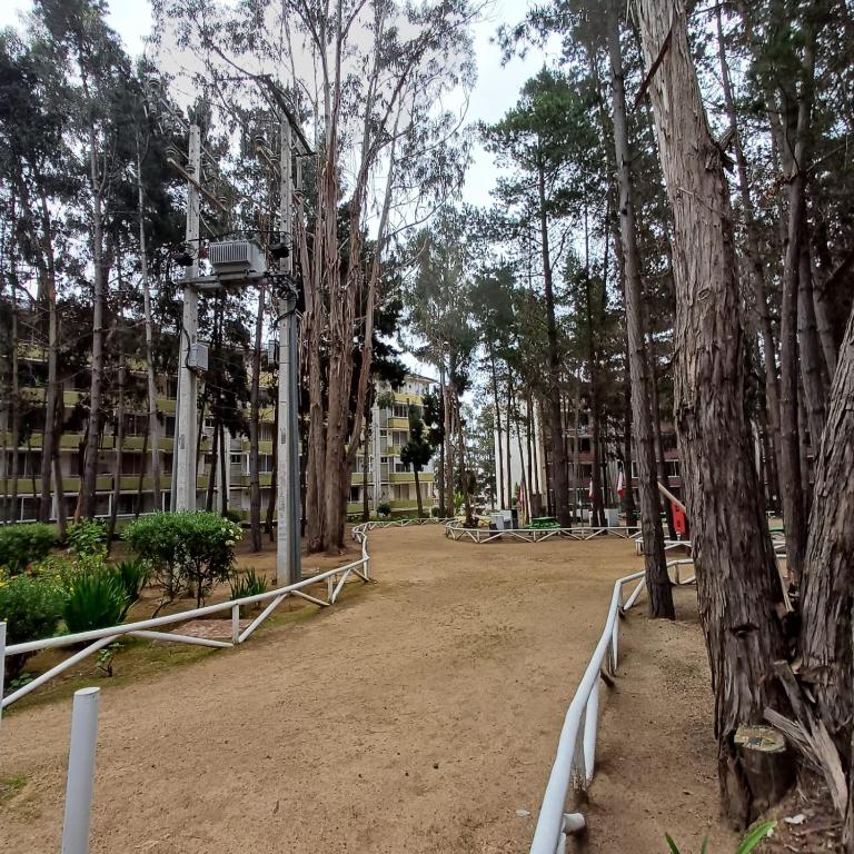 Departamento en El Tabo - Two-Bedroom Apartment - 27