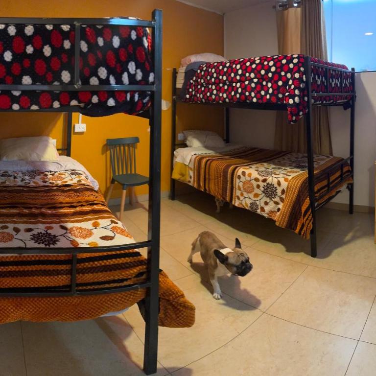 Tlv HOSTEL - Habitación cuádruple - 2