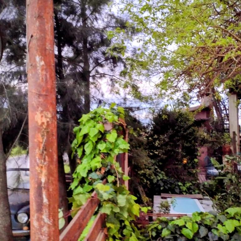 Veroka - Two-Bedroom House - 21