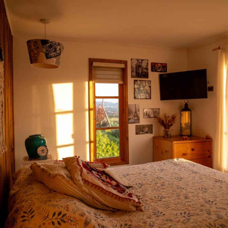 El Jardín de Zara - One-Bedroom House - 11