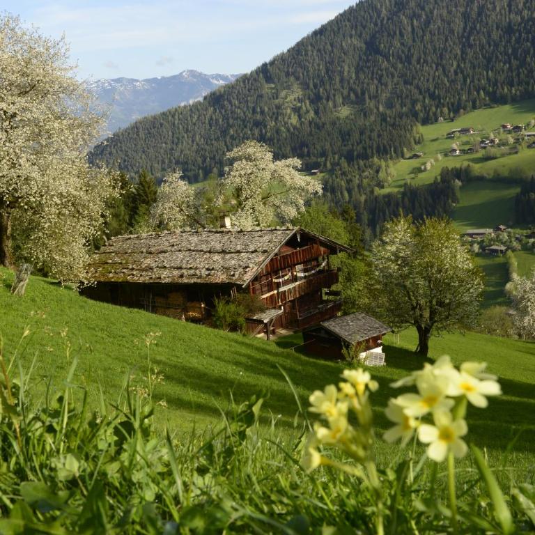 Landhaus Alpbach - Standard Apartment mit 2 Schlafzimmern - 72
