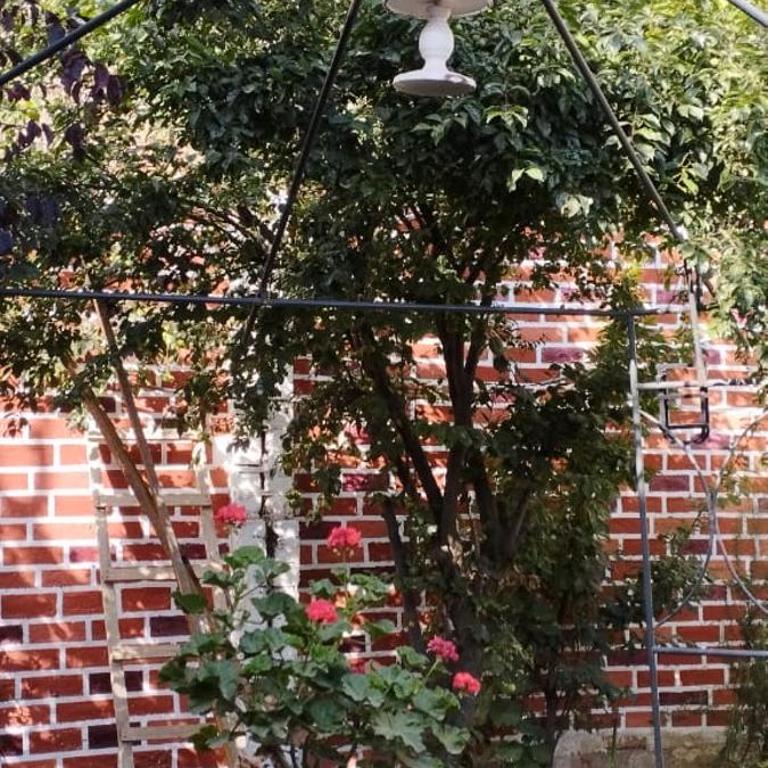 Casa los Ciruelos en El Tambo a 15 minutes from downtown - Two-Bedroom House - 9