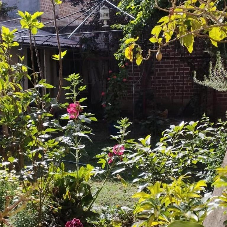 Casa los Ciruelos en El Tambo a 15 minutes from downtown - Two-Bedroom House - 14