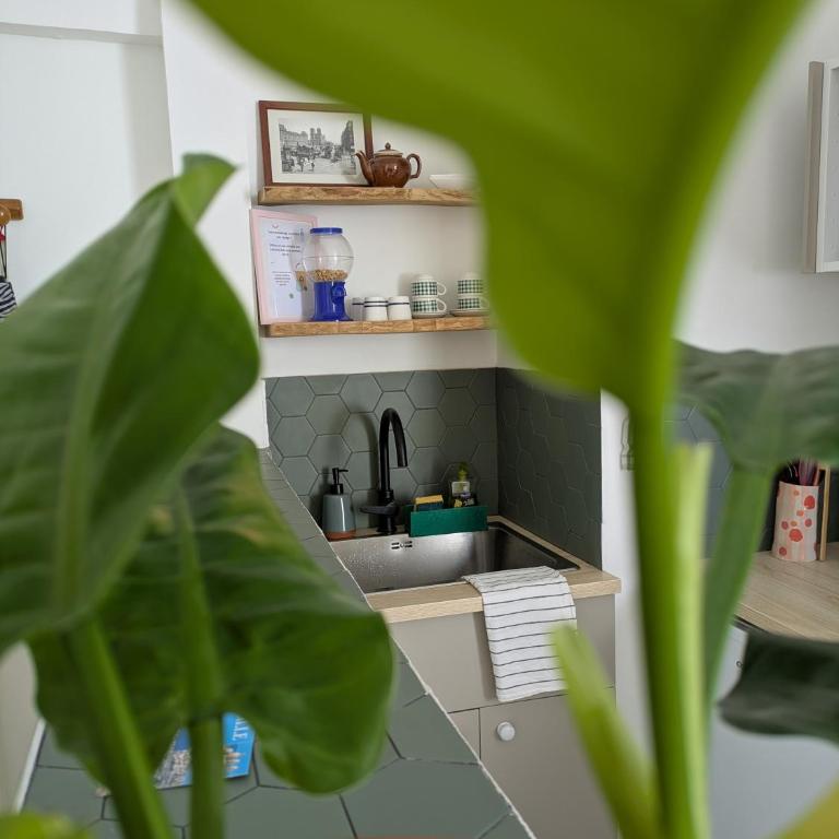 La parenthèse colorée - Apartamento de 1 dormitorio - 15