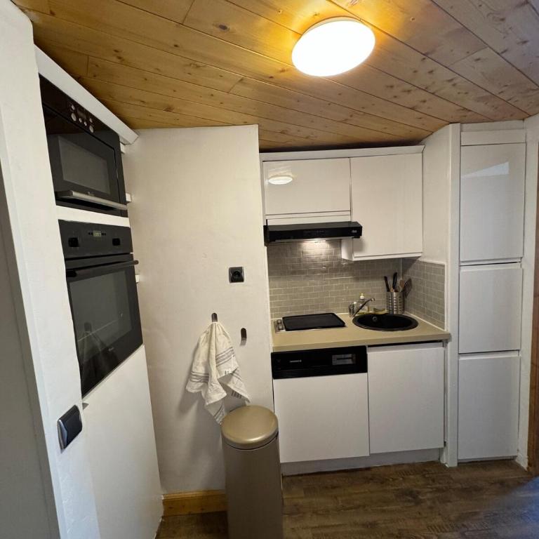 Studio cabine balcon vue montagne pieds des pistes - Appartamento con 1 Camera da Letto - 3