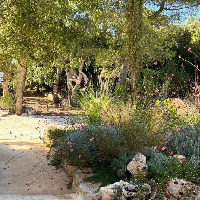 Trulli Chiancaluna - Art Farm Stories - Villa Deluxe - 20
