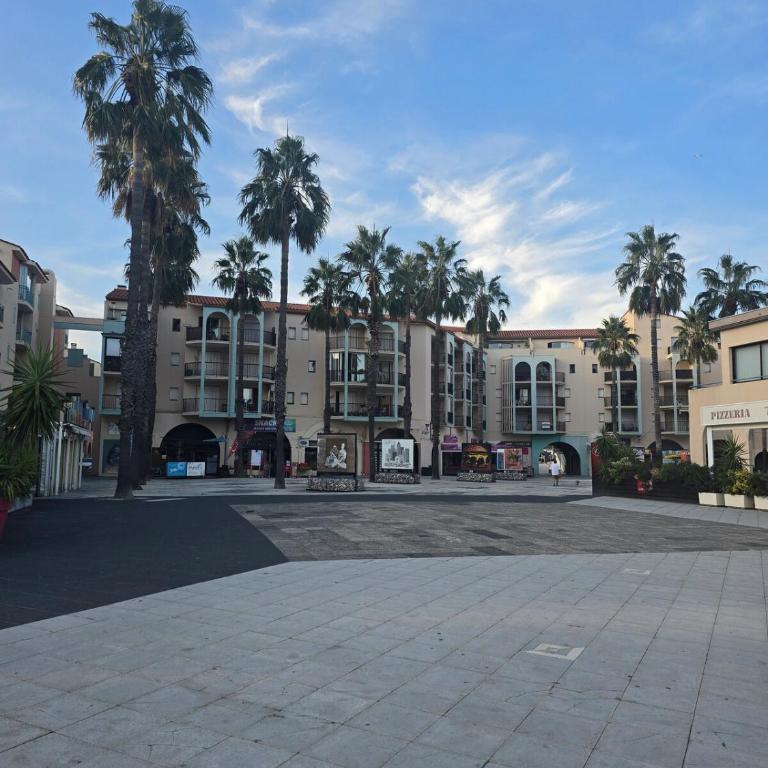 Cœur du port d'Argeles avec vue mer imprenable - Apartamento de 2 dormitorios - 33