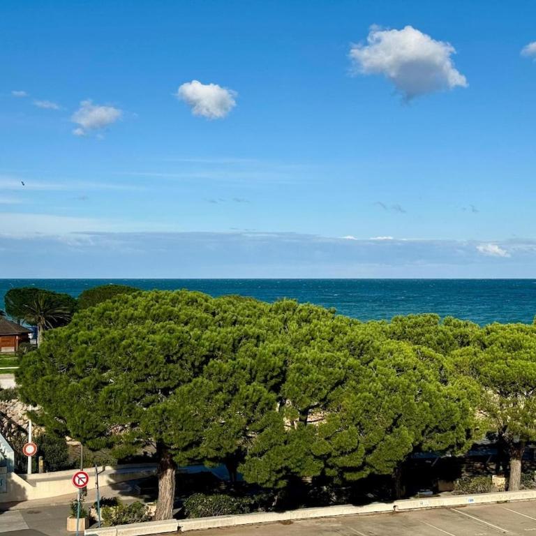 Cœur du port d'Argeles avec vue mer imprenable - Apartamento de 2 dormitorios - 24