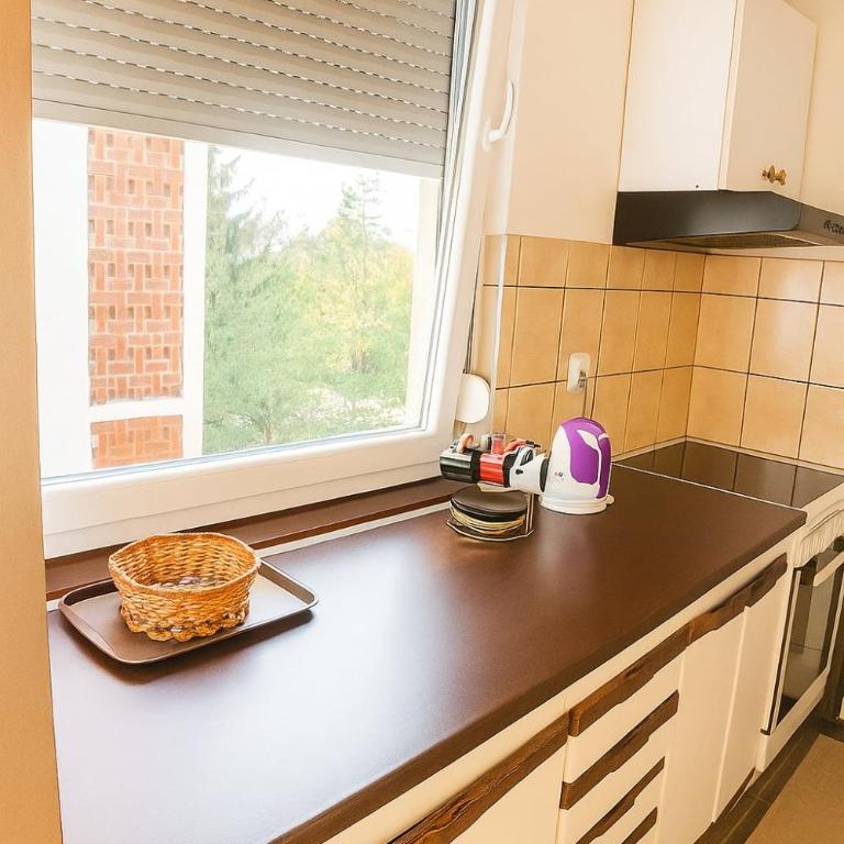 Apartman Centar Banja Luka - Apartman sa 1 Spavaćom Sobom - 6