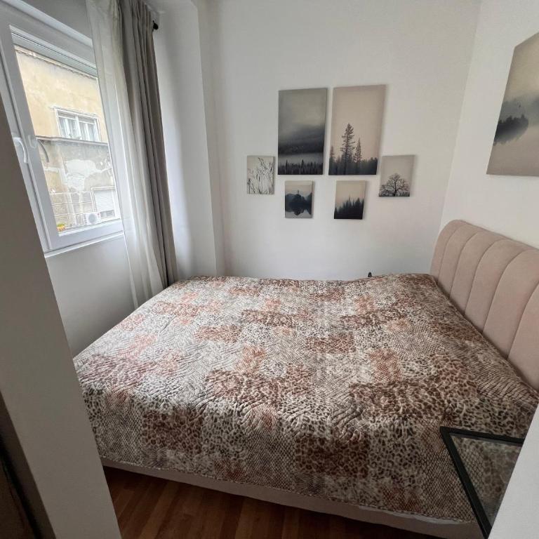 Sanja, Old Town - Apartman sa 1 Spavaćom Sobom - 20