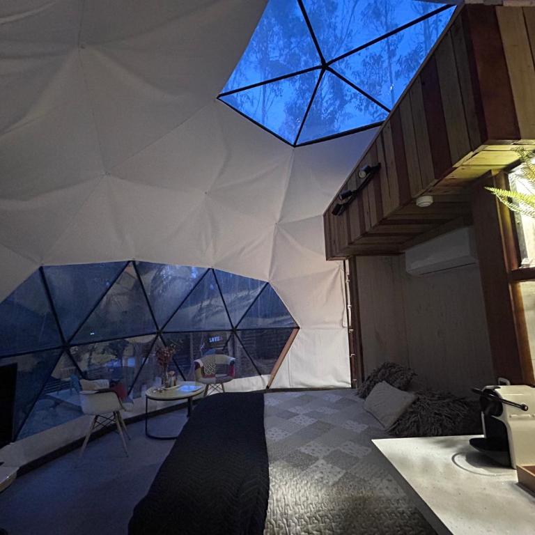 TunquenDomo - Tienda - 30