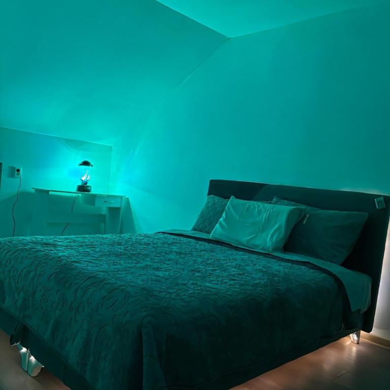 Sanlej Apartman - Apartman sa 1 Spavaćom Sobom - 10