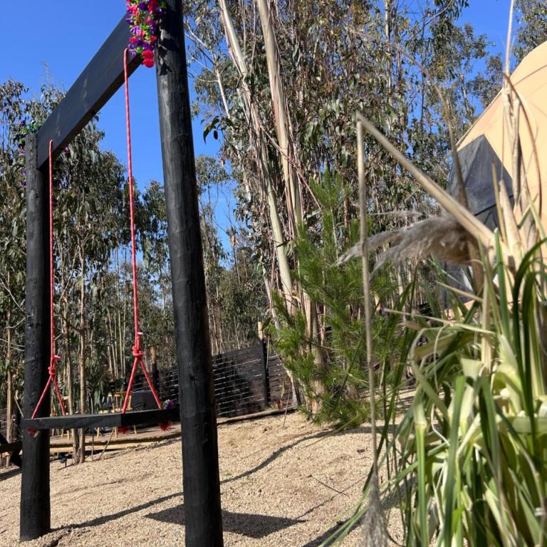 TunquenDomo - Tienda - 37