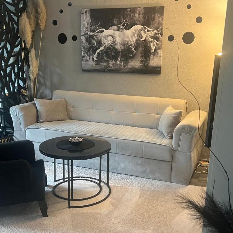 Studio Maša - Apartman sa 1 Spavaćom Sobom - 2