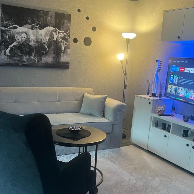 Studio Maša - Apartman sa 1 Spavaćom Sobom - 4