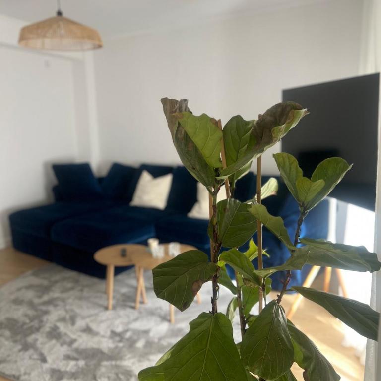 Playa del Cura - Modern, Comfortable and Stylish Retreat - Apartamento de 1 dormitorio - 9