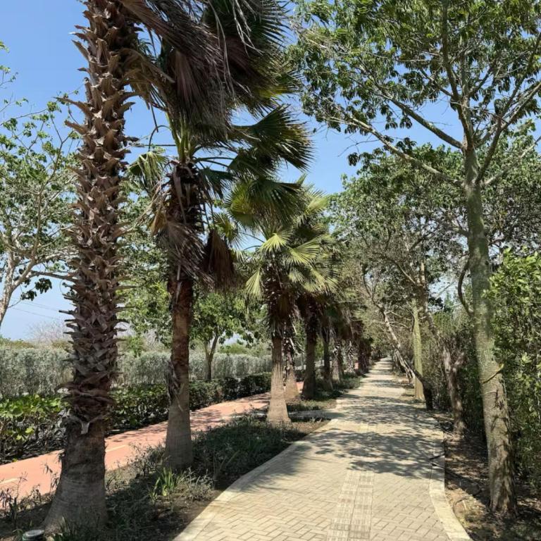 "Tu Escape en Cartagena" El Paraíso Caribeño! - Apartamento de 2 dormitorios - 19