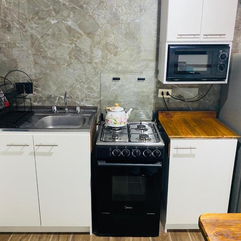 Talca-Maule - Two-Bedroom House - 6