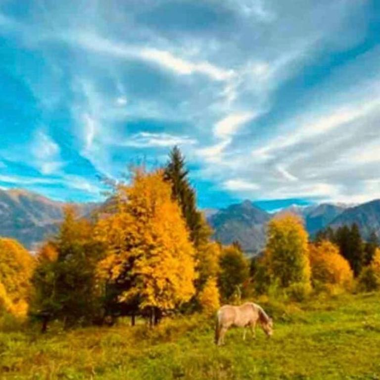 FeWo Alpenherz im Allgäu, mit Balkon und Bergblick - Apartment mit 1 Schlafzimmer - 33