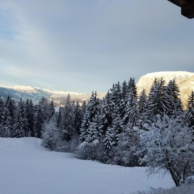 Hotel Wiesl - Double Room with Balcony - 10