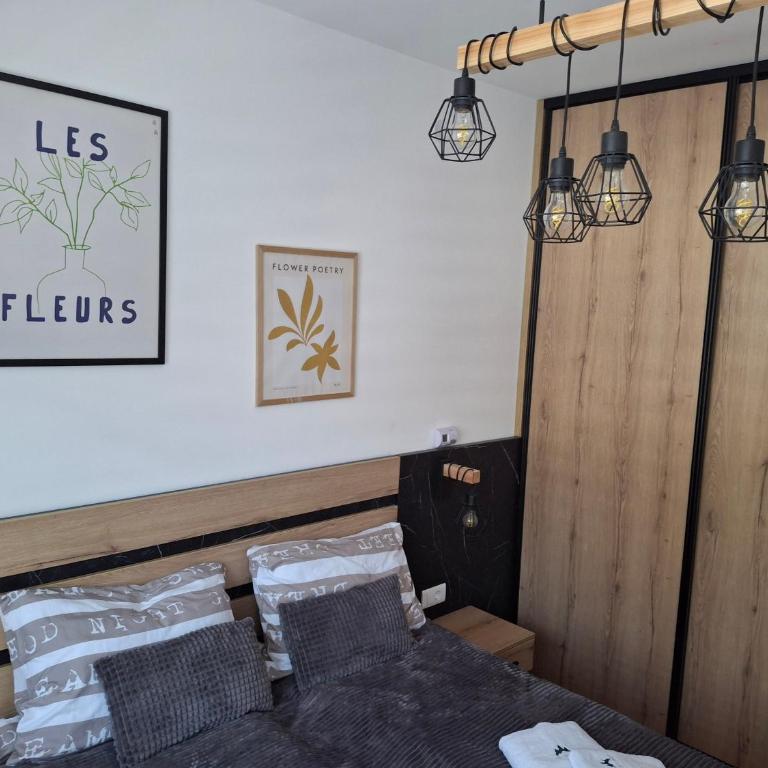 Apartman Zlatibor - Apartman sa 1 Spavaćom Sobom - 5