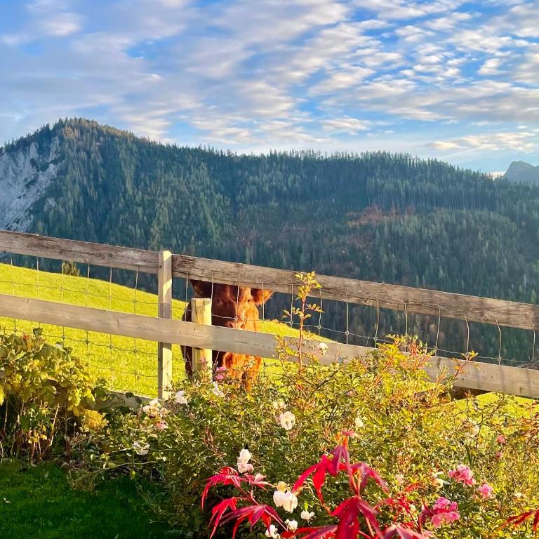 Traumblick Dachstein - Apartment mit 2 Schlafzimmern - 4