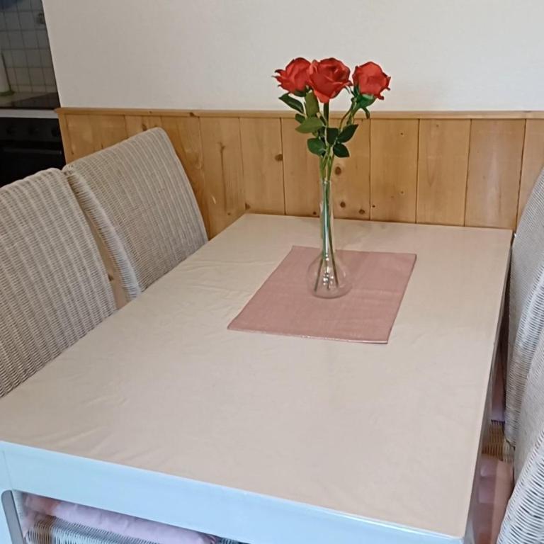 Appartementhaus Hochkönig 1 - Alpenrose - Apartment mit Balkon - 18