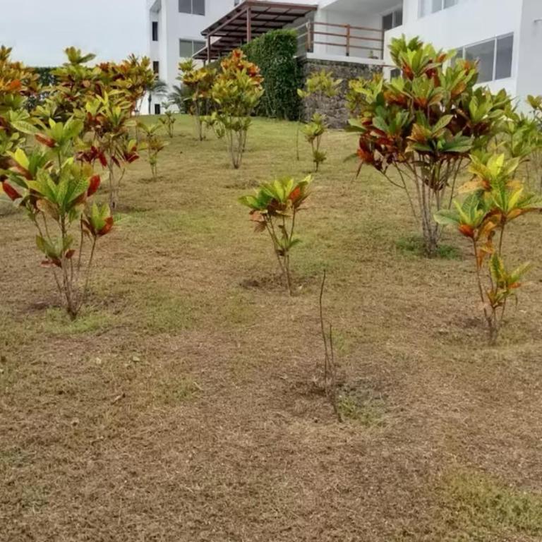 Oceanfront Apartment 2BR 2BA at Jama Campay includes Resort Access - Two-Bedroom Apartment - 71