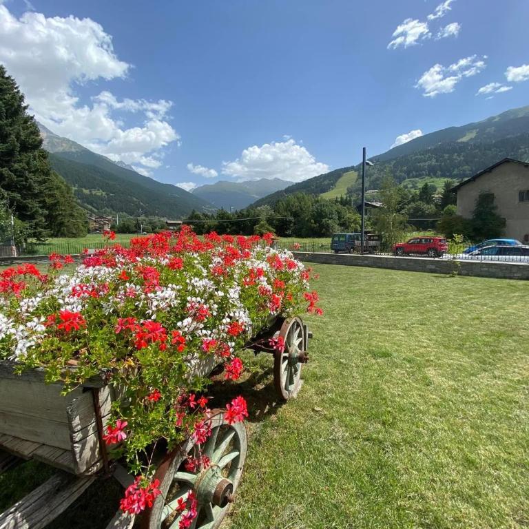 Appartamento 'Reit' - Bormio - giardino, parcheggio, Wi-fi - Two-Bedroom Apartment - 26
