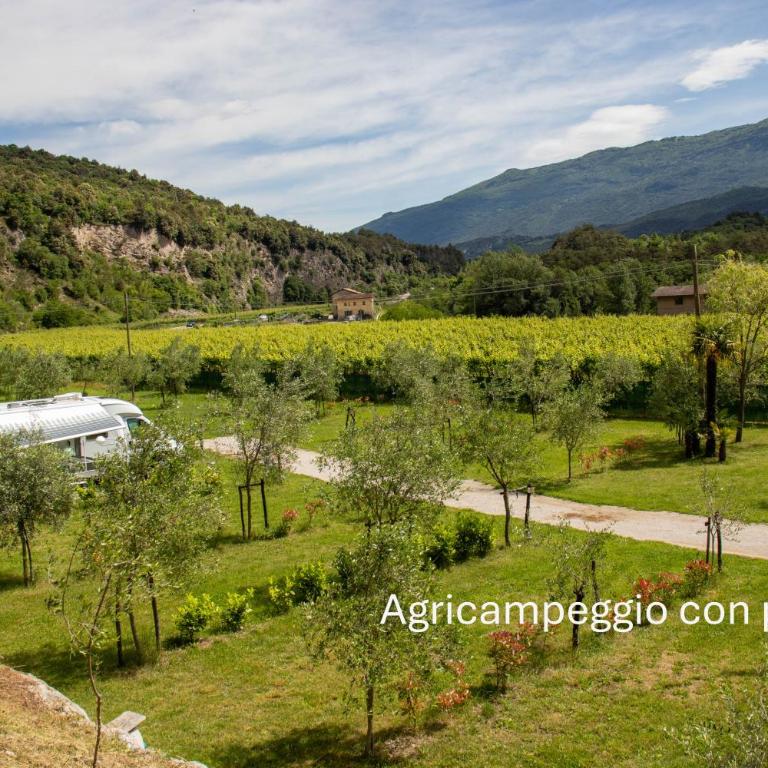 Agricampeggio Paolino - Piazzola - 1
