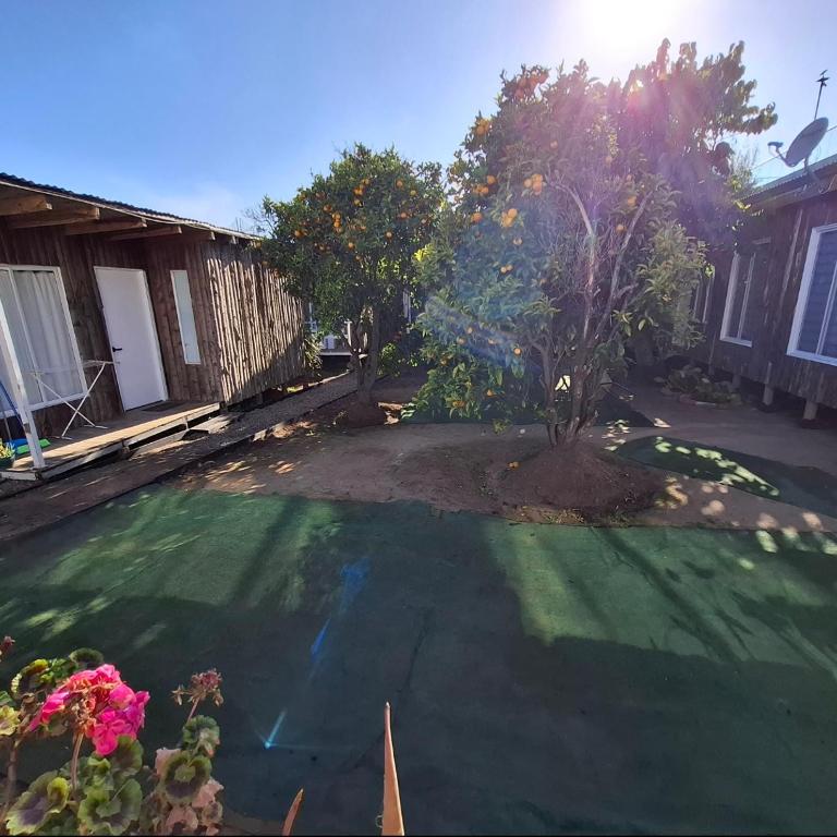 Casa Árbol lodge - Apartamento de 1 dormitorio - 4