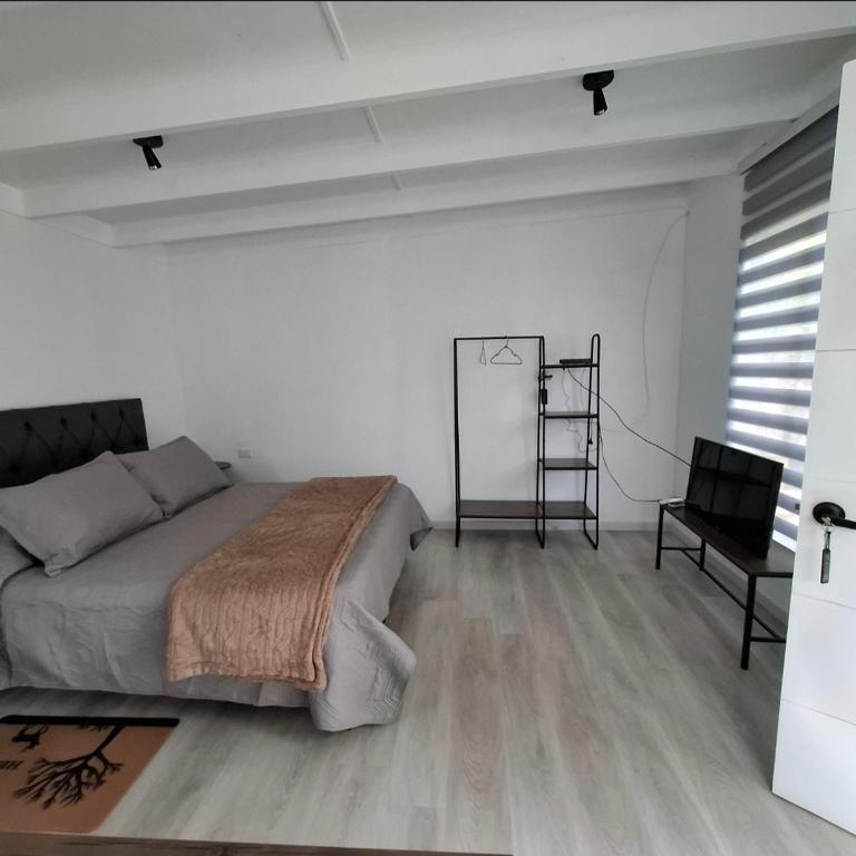 Casa Árbol lodge - Apartamento de 1 dormitorio - 10