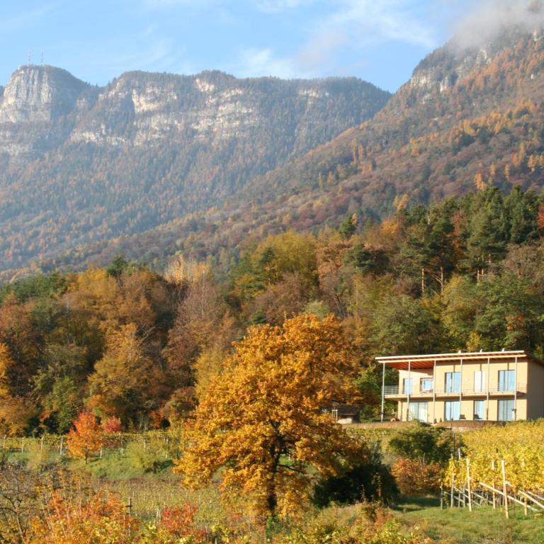 Kreuzsteinhof - Appartement 1 Chambre - 7
