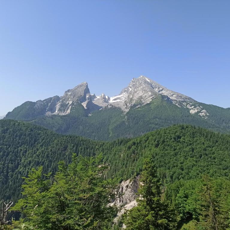 Schwaigerlehen Schönfeldspitze - Apartment mit 2 Schlafzimmern - 17