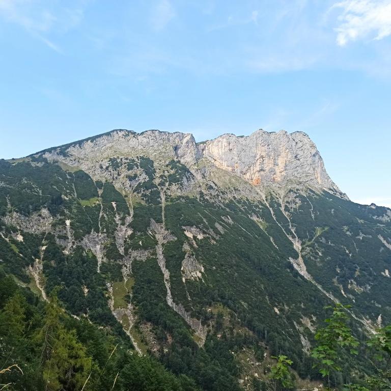 Schwaigerlehen Schönfeldspitze - Apartment mit 2 Schlafzimmern - 19