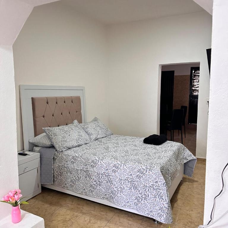 Complete House with Sophisticated Style and Comfort - One-Bedroom House - 1