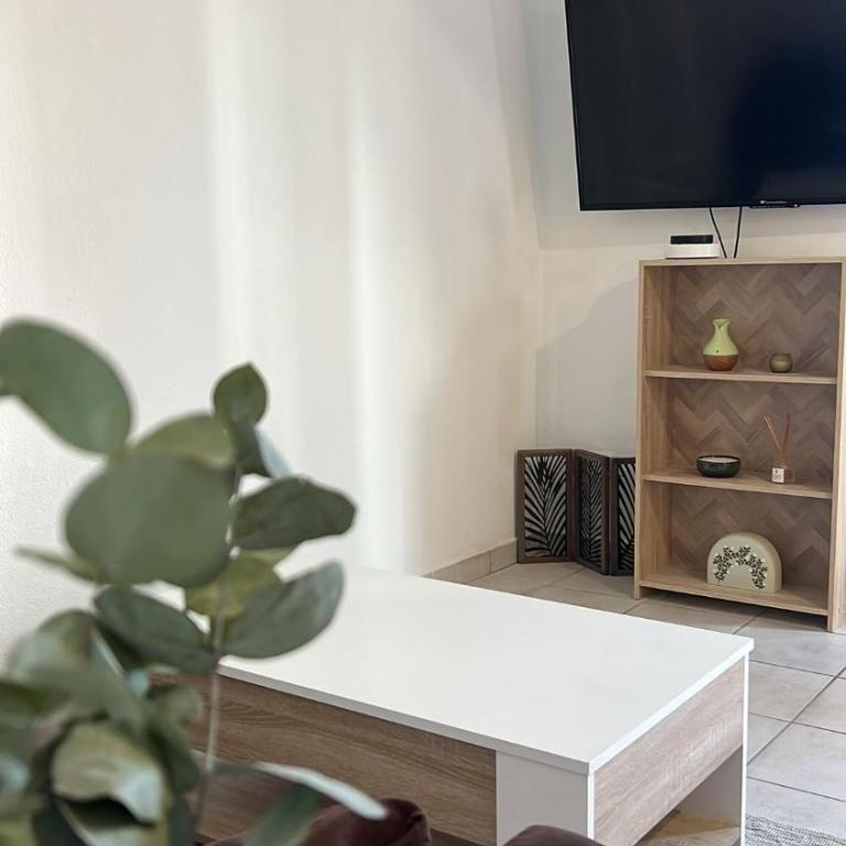 Charming apartment with terrace and parking in Carcassonne - Apartment mit 1 Schlafzimmer - 2