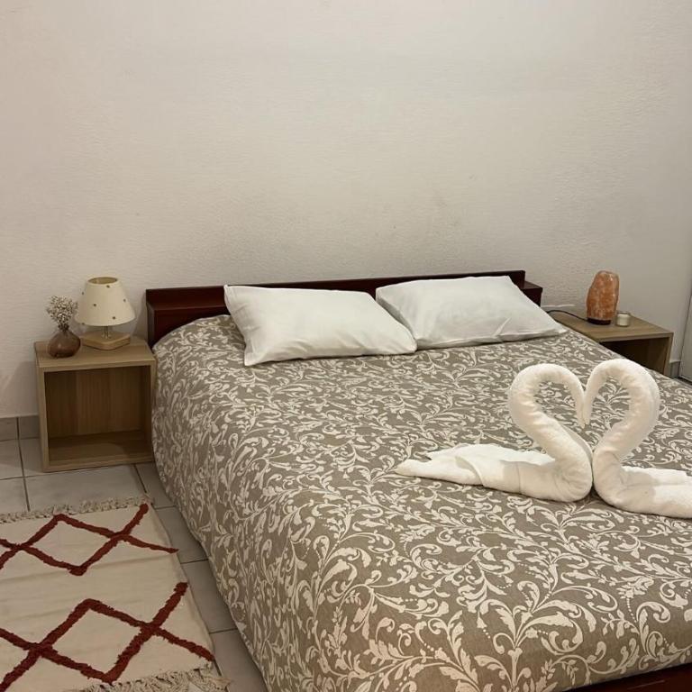 Charming apartment with terrace and parking in Carcassonne - Apartment mit 1 Schlafzimmer - 1