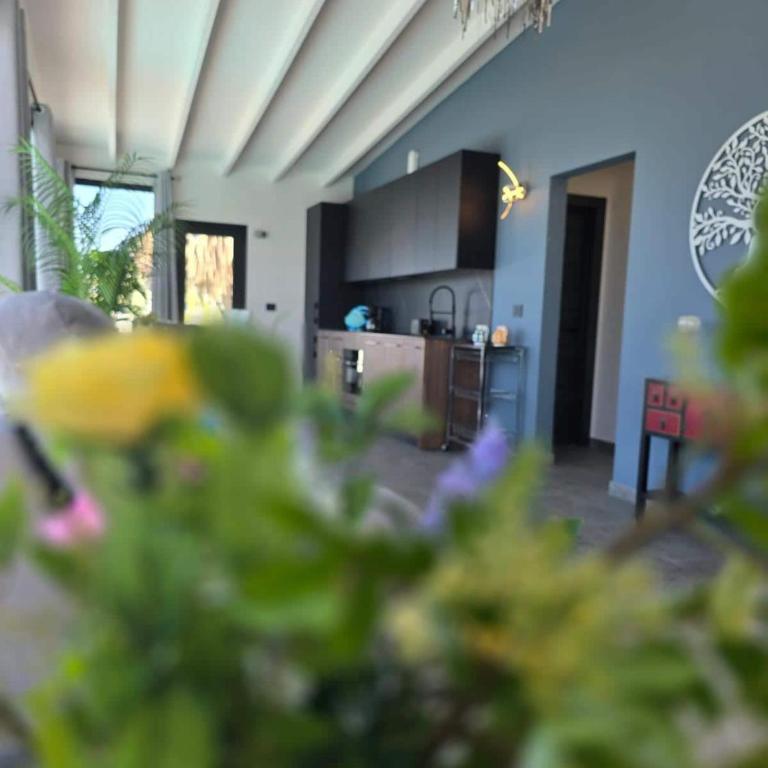 Villa Aurae - Villa de 1 dormitorio - 28