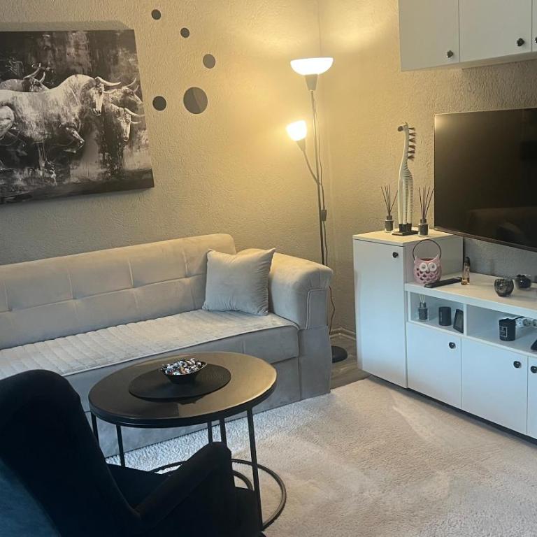 Studio Maša - Apartman sa 1 Spavaćom Sobom - 3