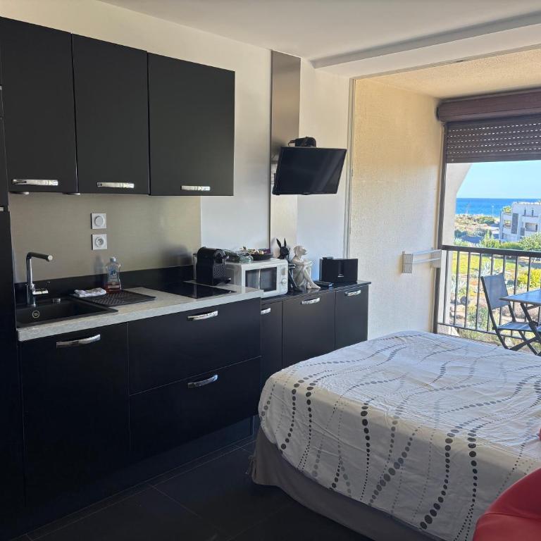 BAGATELLE NATURISTE HELIOPOLIS clim ascenseur vue mer parking privé - Appartement 1 Chambre - 11