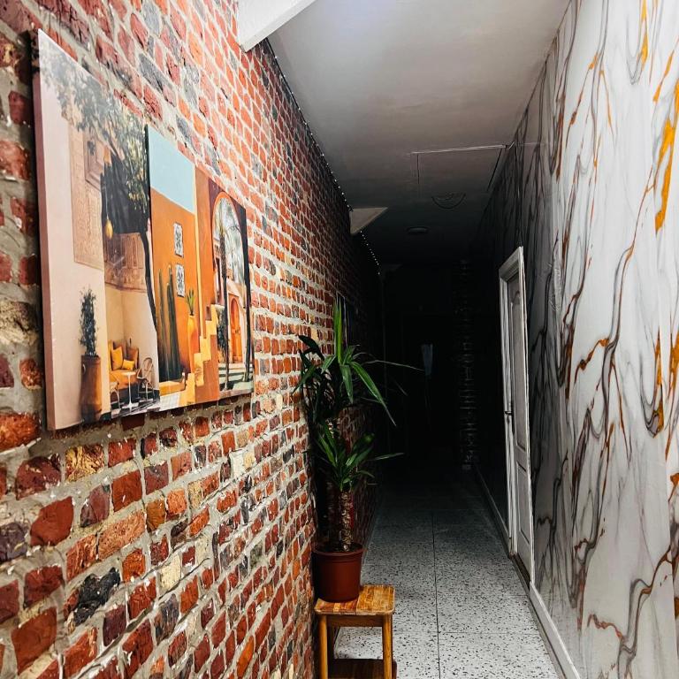 Lille Flandre duplex - Appartement 1 Chambre - 11